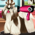 Paws to Beauty 2