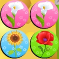 Flowers Memo