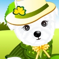 Happy St. Patricks Day