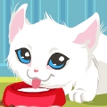 Kitty Care