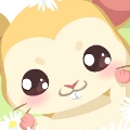 Hamster Care