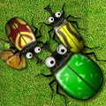 Bugs in Love