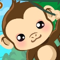 Monkey Care