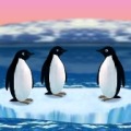 פינגווינים טורבו