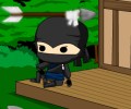 Ninja Delivery