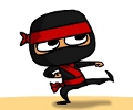 Sloppy Ninja