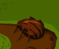 Bugs Invasion TD