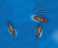 Pirateers