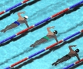 Swimming Race