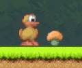 Charlie the Duck