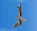 ���� ��� 07