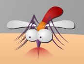 killMosquito
