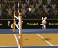 Bunnylimpics Volleyball 2012