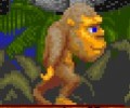 Toki