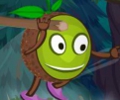 KiwiHood